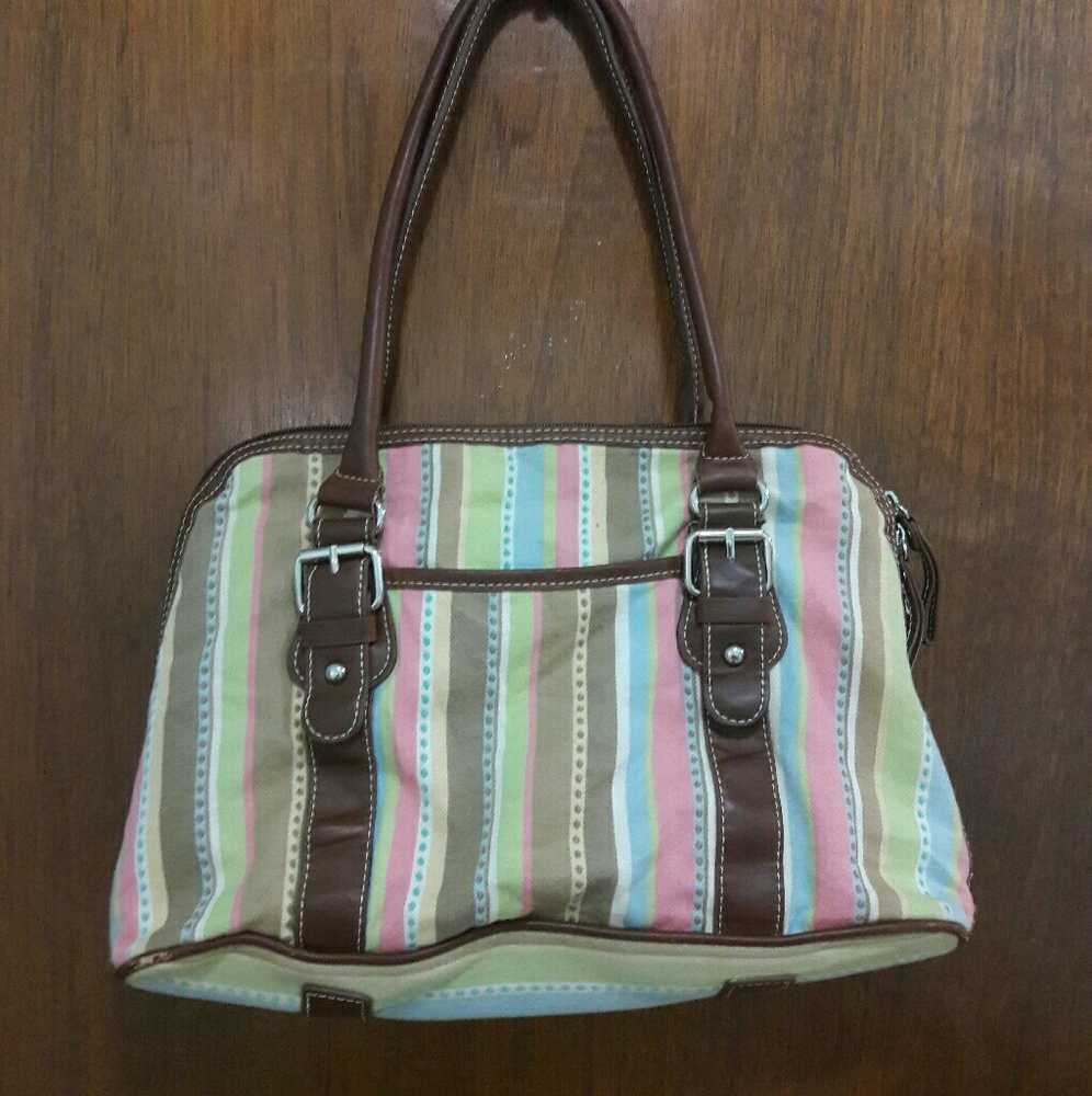 Carry land multi color purse